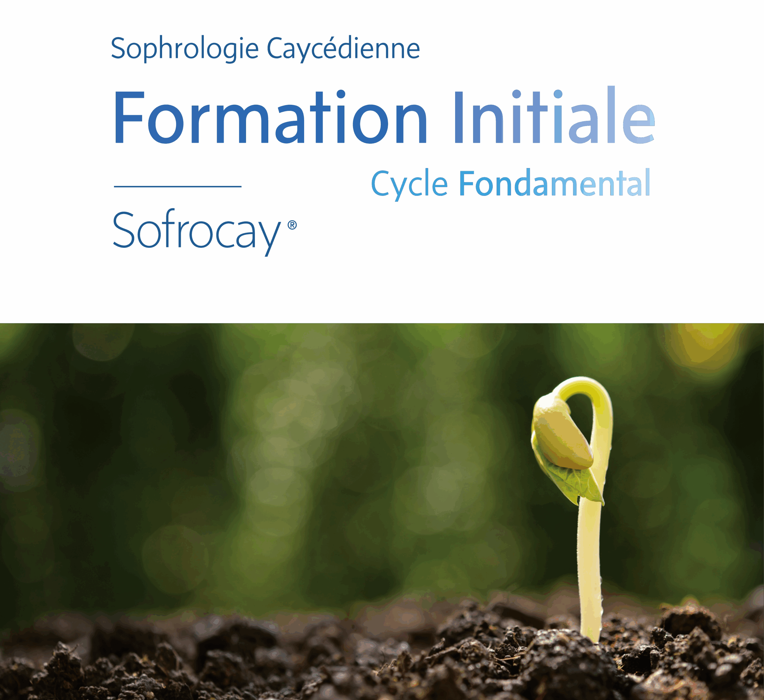 formation initiale cycle fondamental sophrologie caycédienne