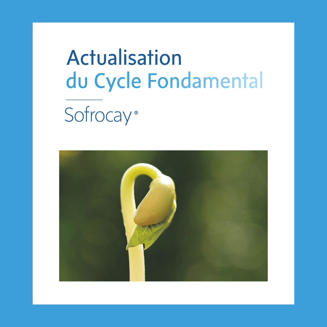 sophrologie et actualisation cycle fondamental