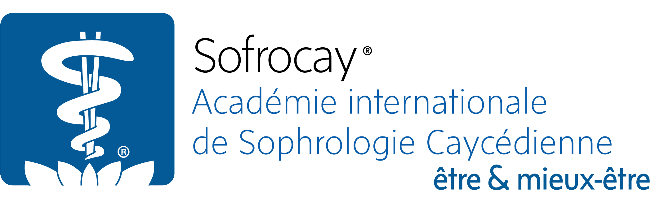 Logo du formulaire
