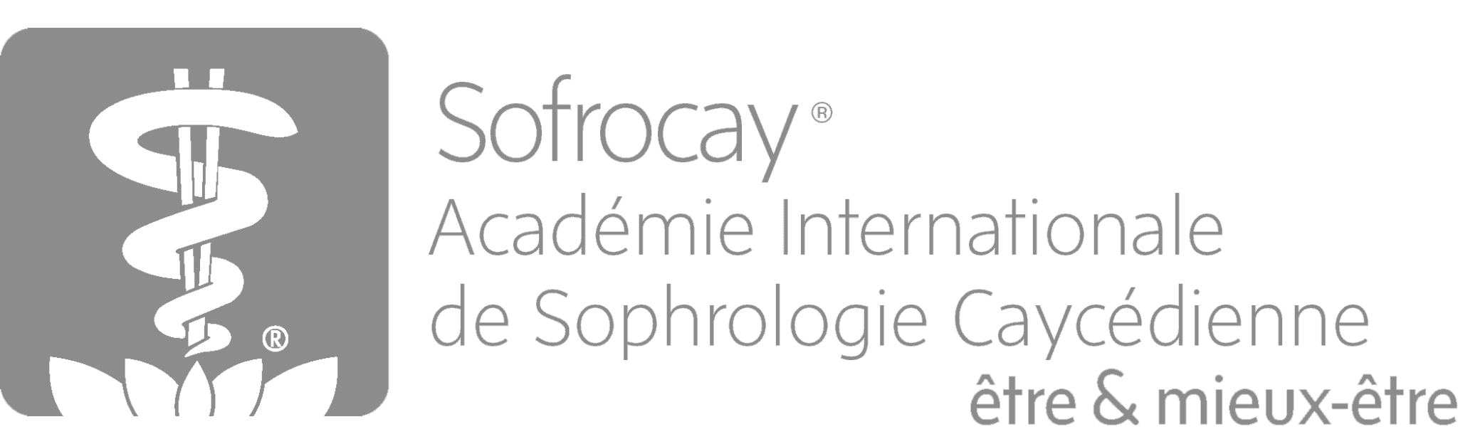 Sophrologie Qu Est Ce Que C Est Définition Et Bienfaits Sofrocay