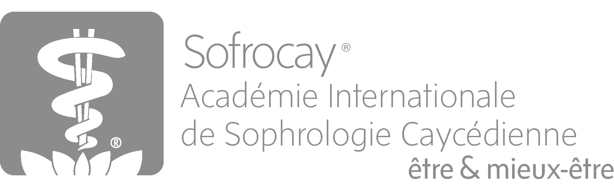 Sofrocay Logo gray
